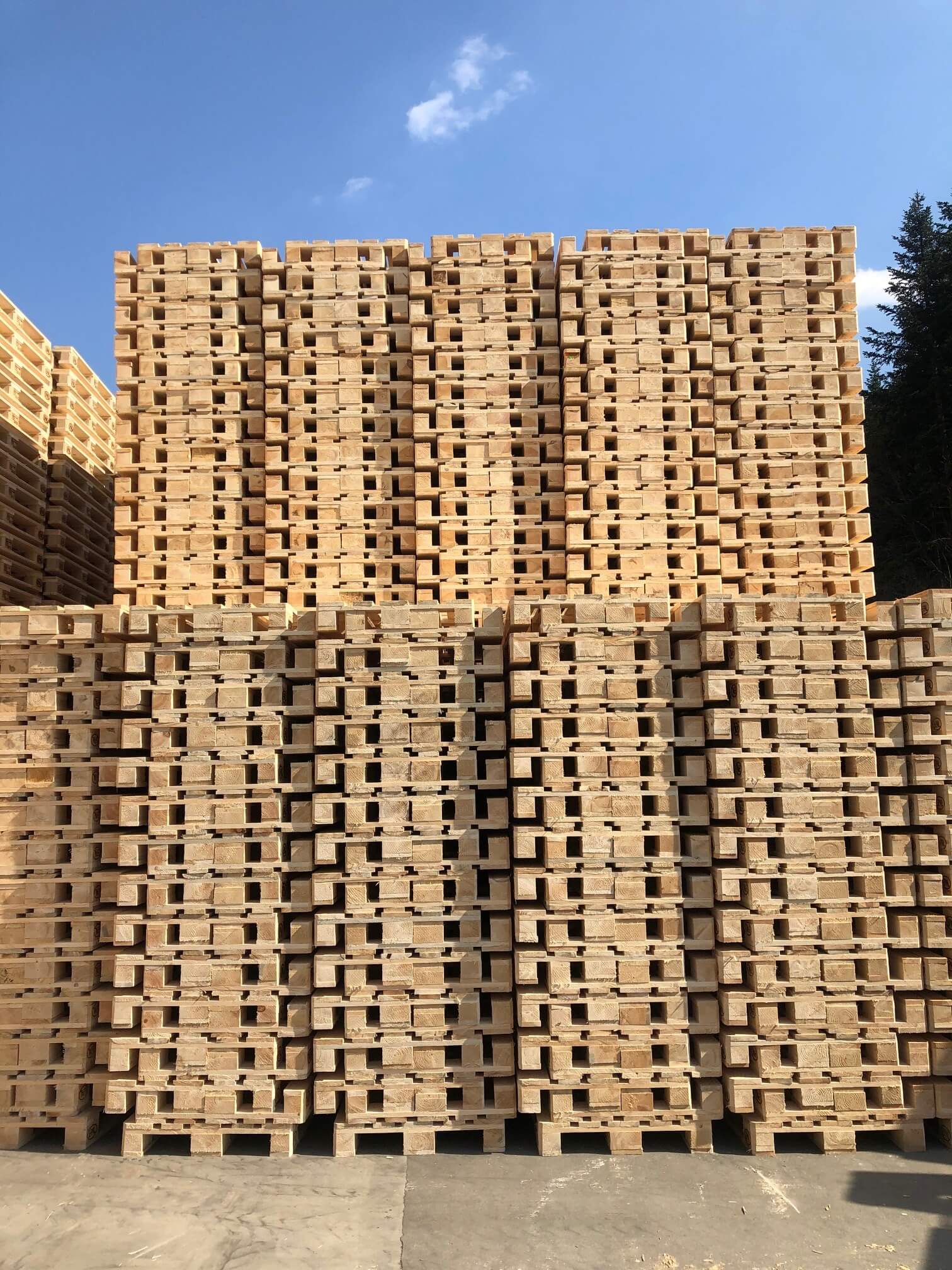 Costruzione di un nuovo capannone di produzione, delle tettoie e dell’essiccatoio, acquisto della linea per l’assemblaggio dei pallet EPAL, aumento della capacità produttiva dei pallet EPAL del 100%.